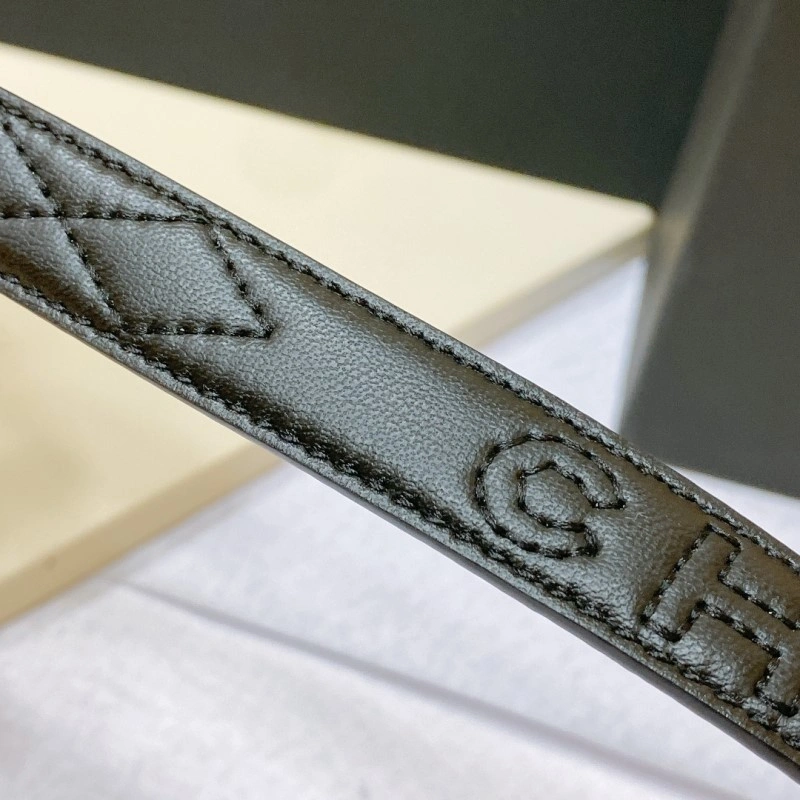 Colorful Chanel Belts 284027