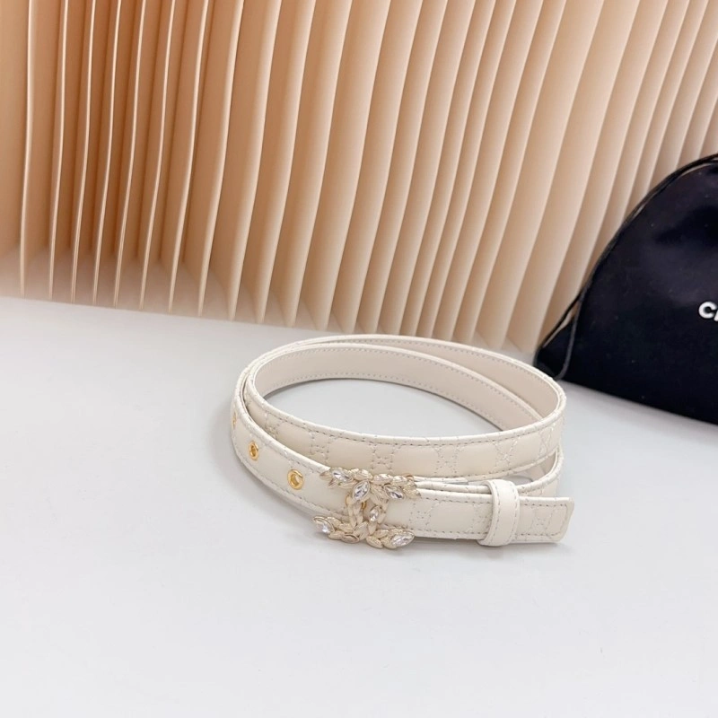 Cozy Chanel Belts 283900