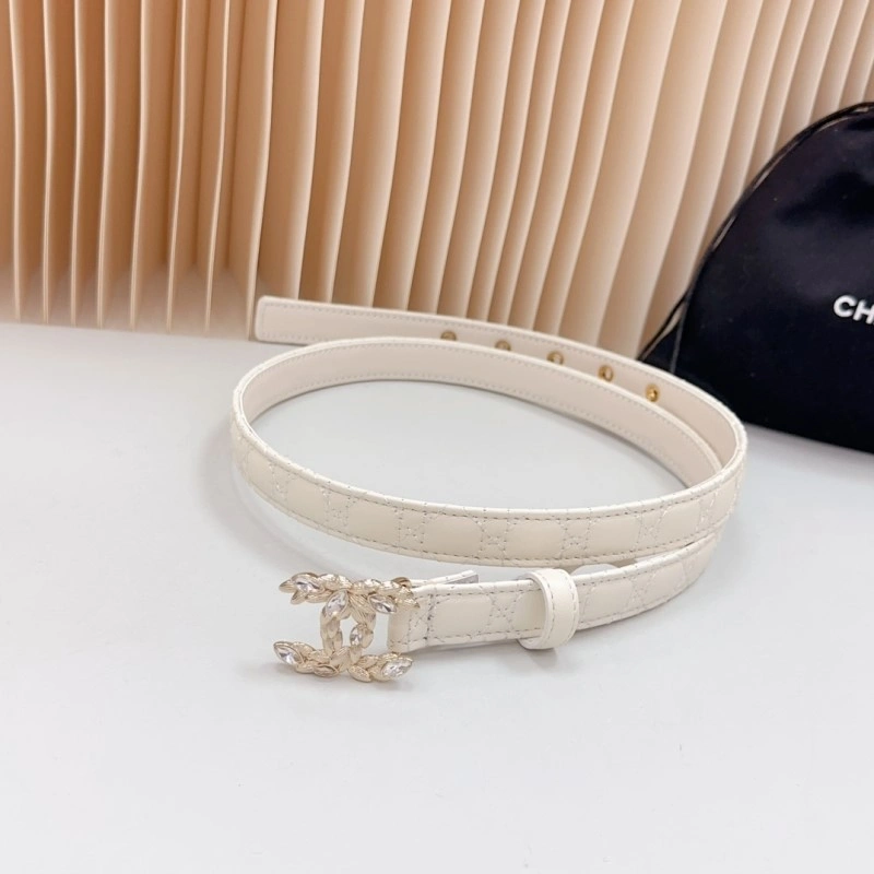 Cozy Chanel Belts 283900