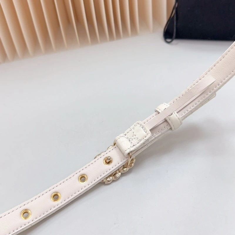 Cozy Chanel Belts 283900