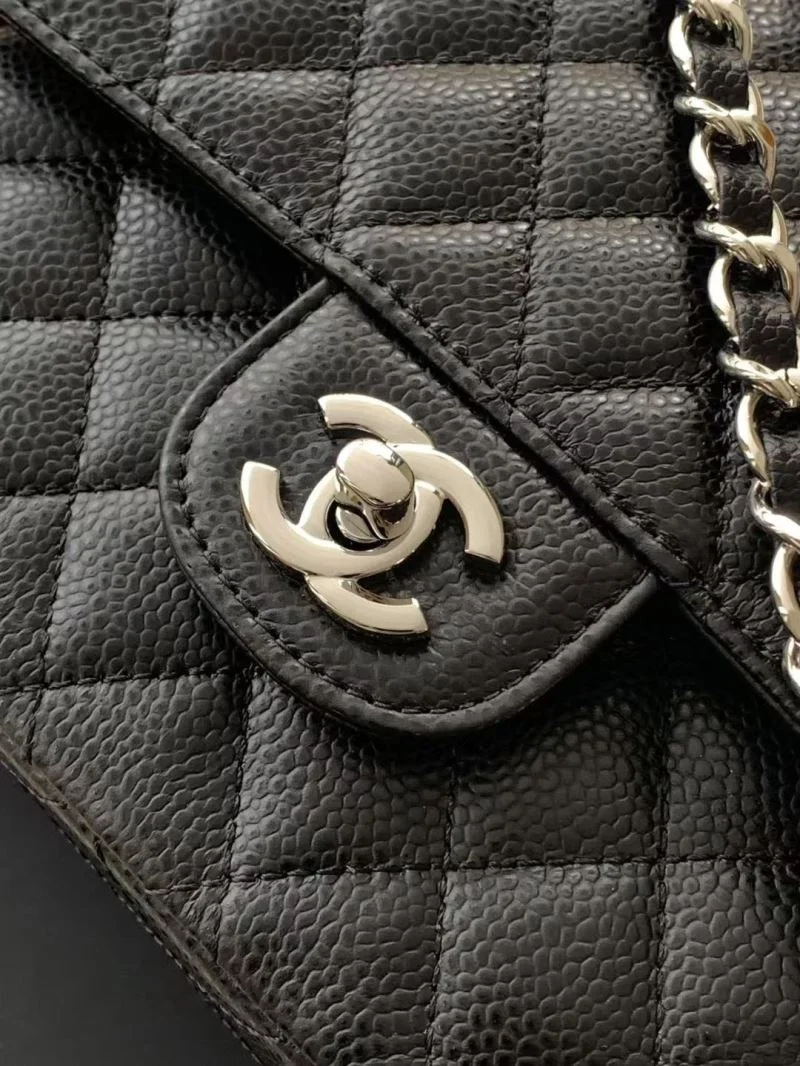 AllSeason Chanel CF Series Bags 53955