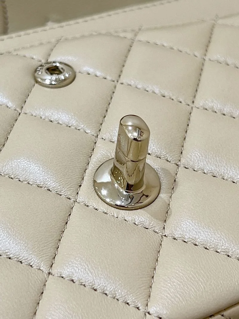 Chanel CF Series Bags Sophisticated 53801