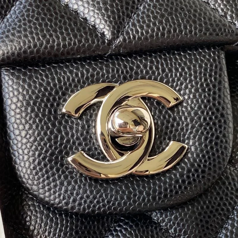 Sustainable Chanel CF Series Bags 53597