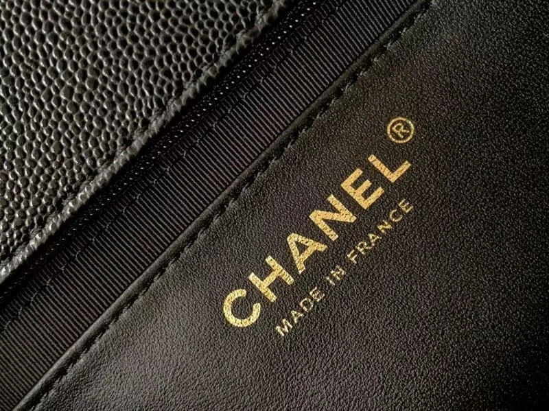 WaterResistant Chanel CF Series Bags 53560