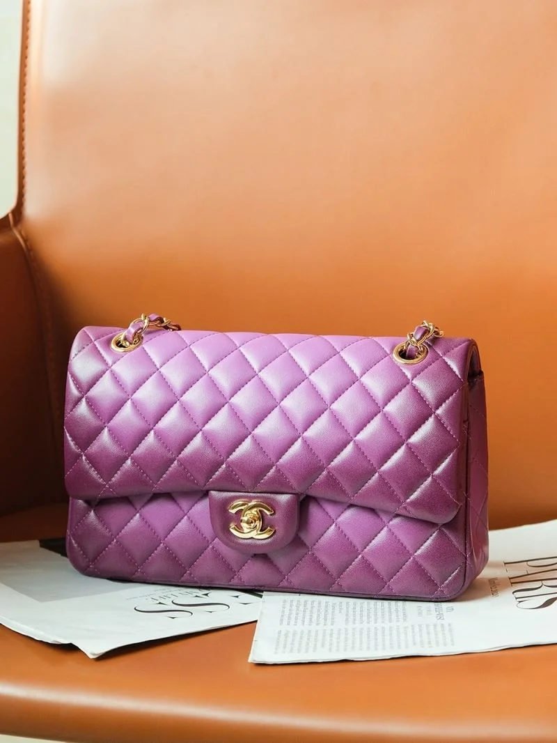Chanel CF Series Bags WrinkleFree 55459