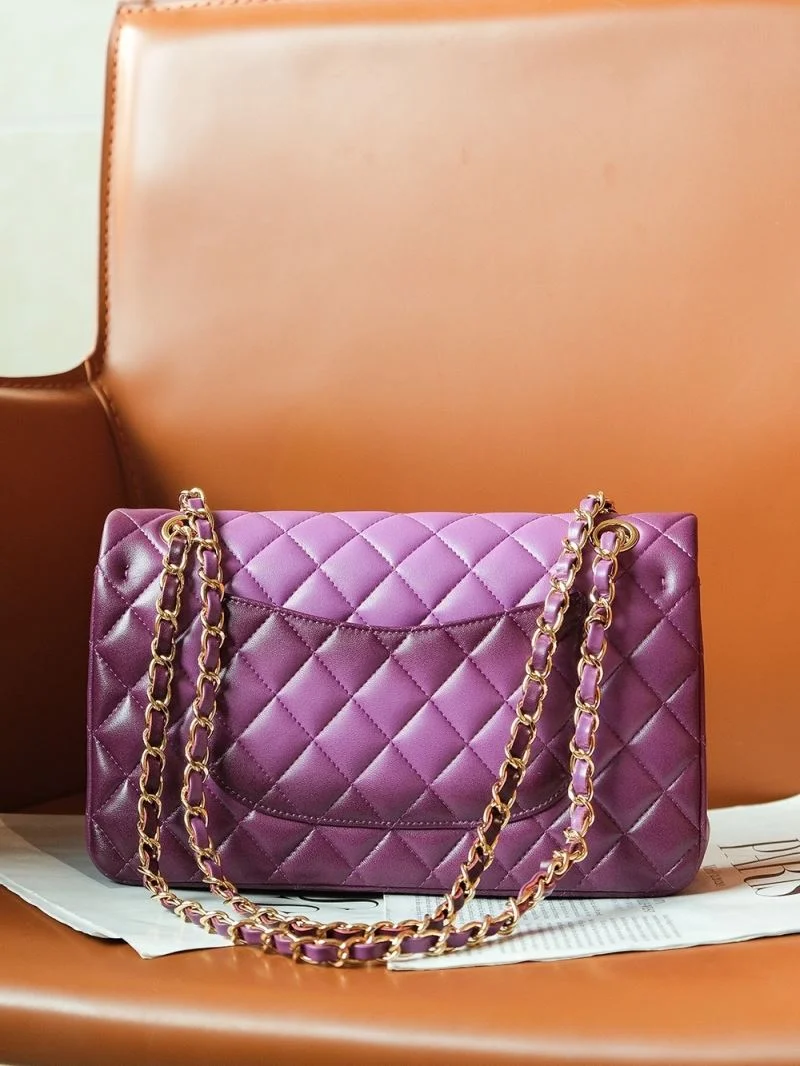 Chanel CF Series Bags WrinkleFree 55459
