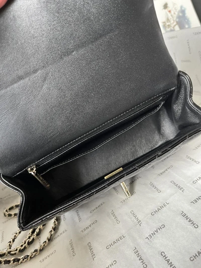 Chanel CF Series Bags WrinkleFree 55405