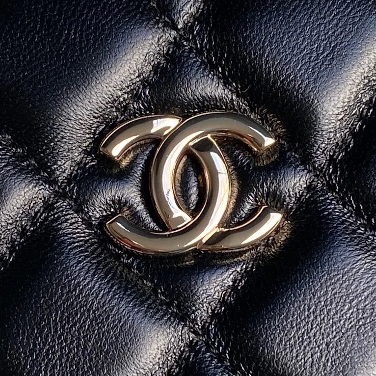 Chanel Cosmetic Bags Packable 53946