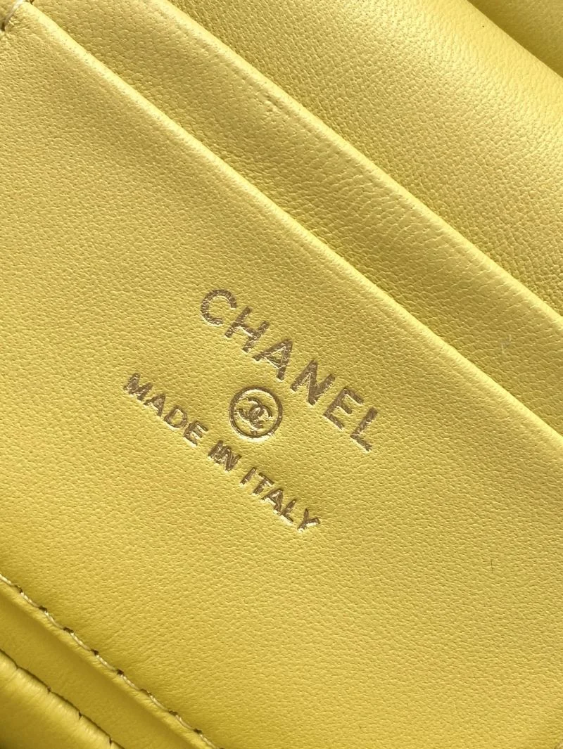 Chanel Cosmetic Bags WeatherProof 53933