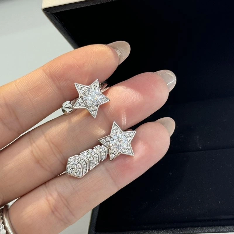 Resilient Chanel Earrings 231292