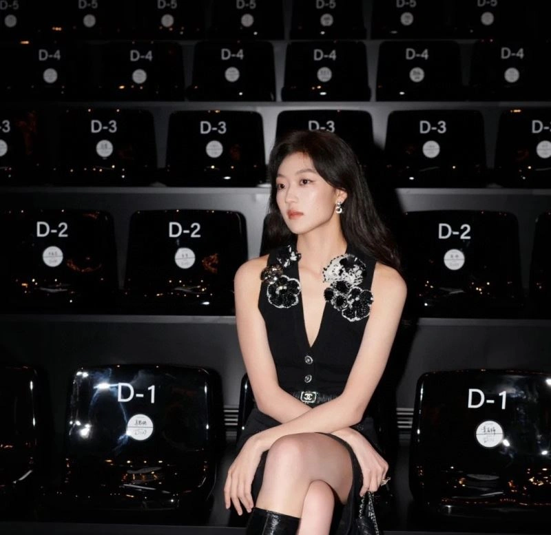 EyeCatching Chanel Earrings 232266