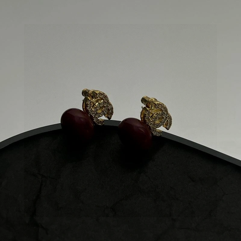 Casual Chanel Earrings 232199