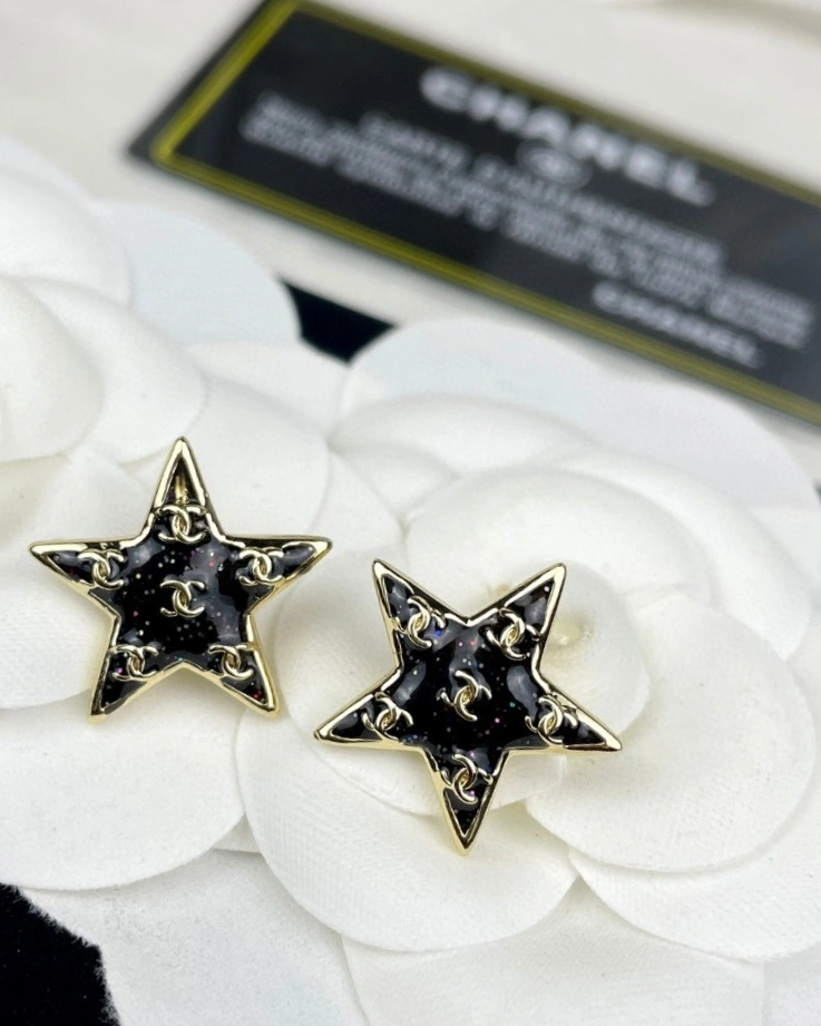 Sporty Chanel Earrings 232165