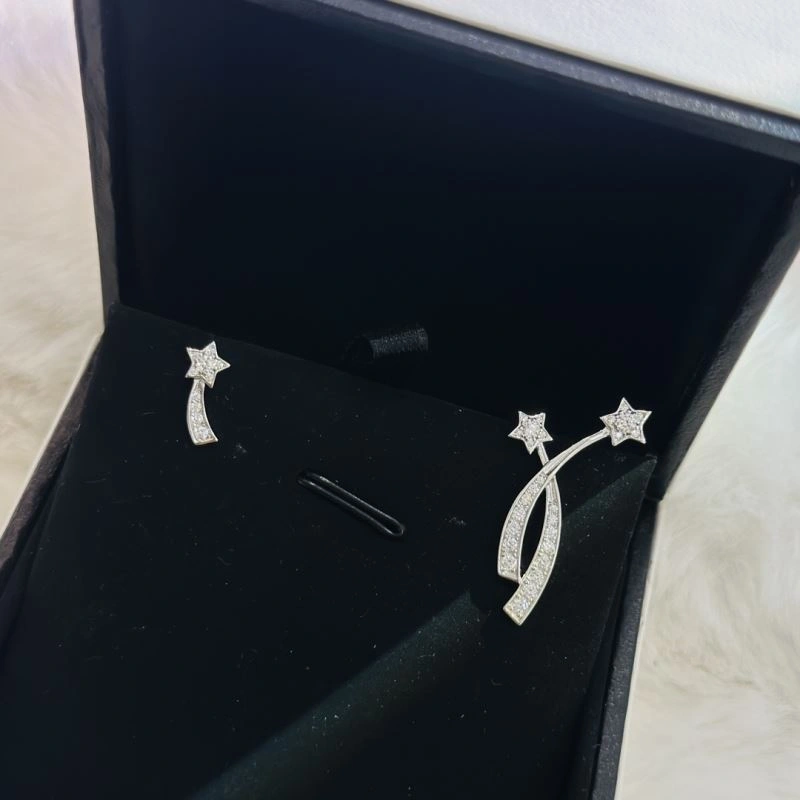 Chanel Earrings Original 230077
