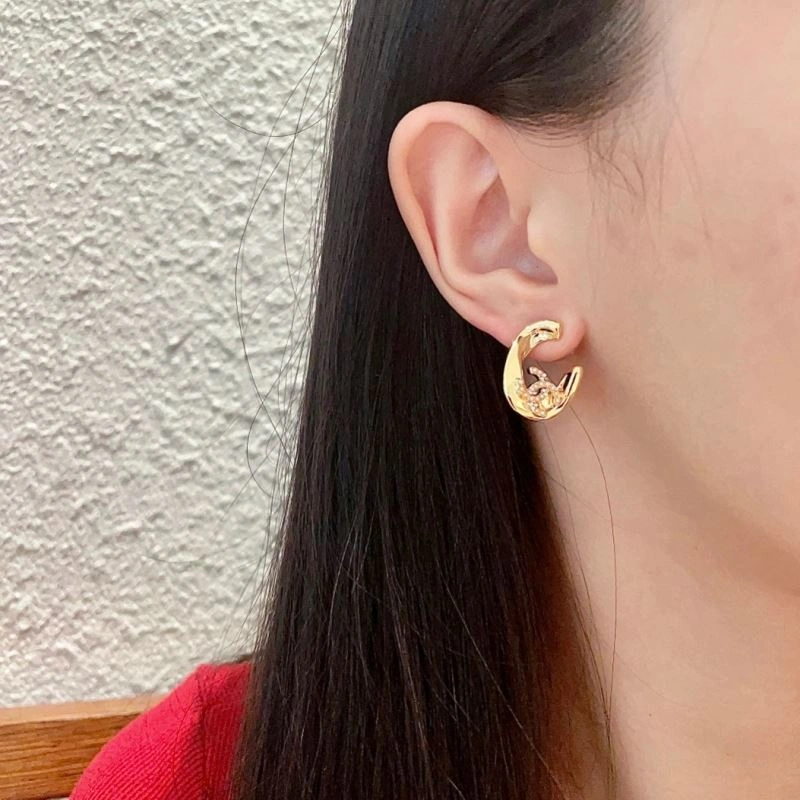 Popular Chanel Earrings 229743