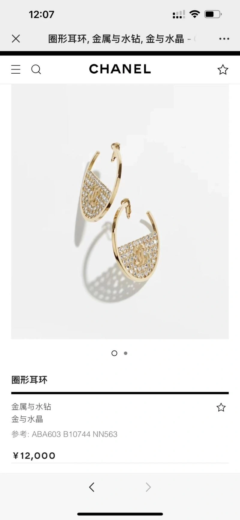 Chanel Earrings Sophisticated 228061