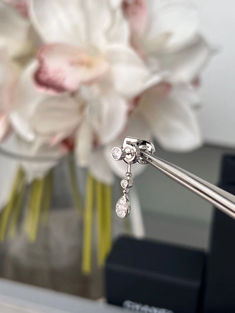 Resilient Chanel Earrings 227879