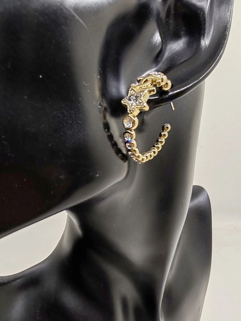 Sophisticated Chanel Earrings 227906