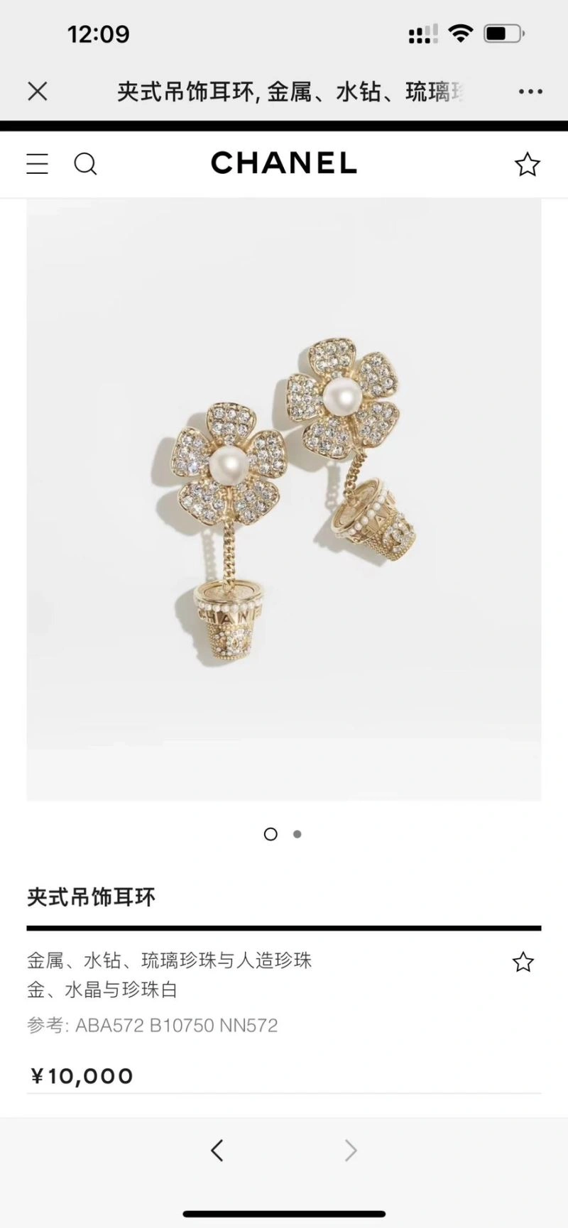 Chanel Earrings FreshLook 227853