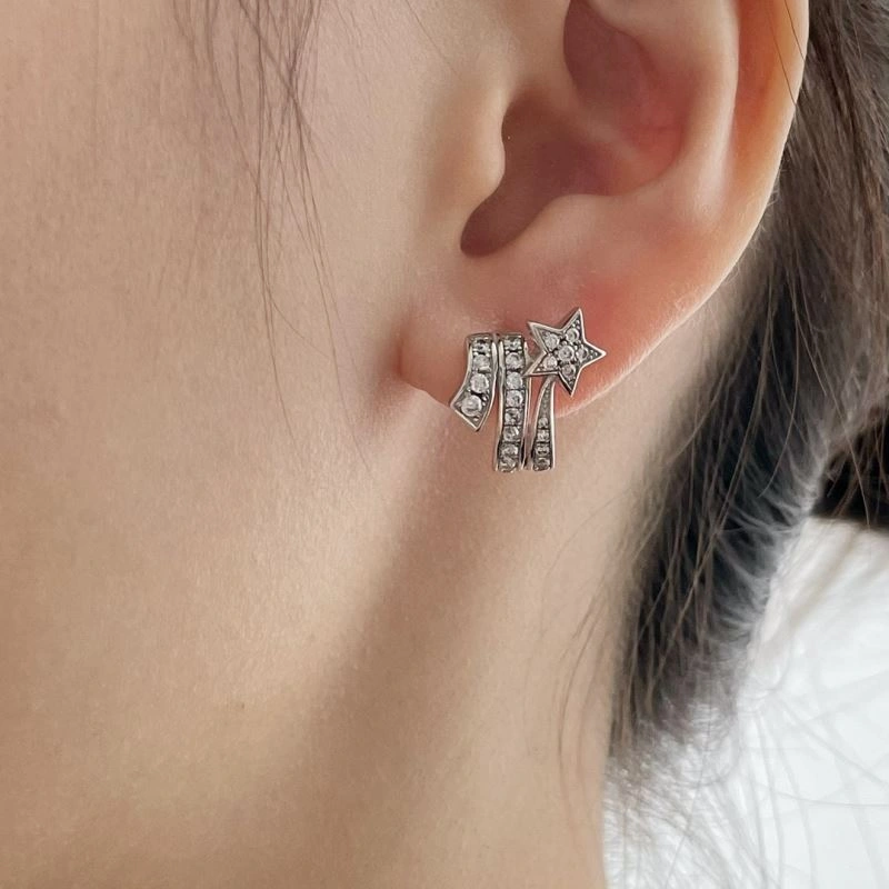 Durable Chanel Earrings 227614