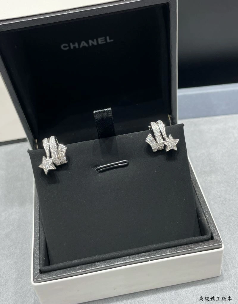 Durable Chanel Earrings 227614