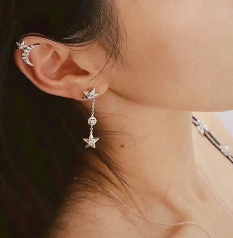 Popular Chanel Earrings 227624