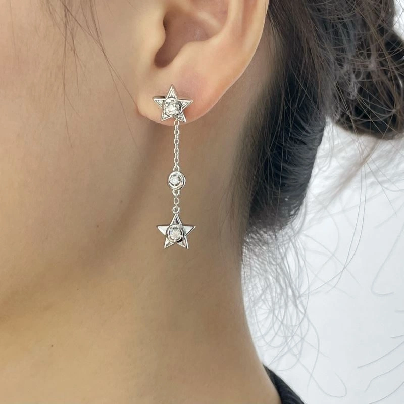 Popular Chanel Earrings 227624