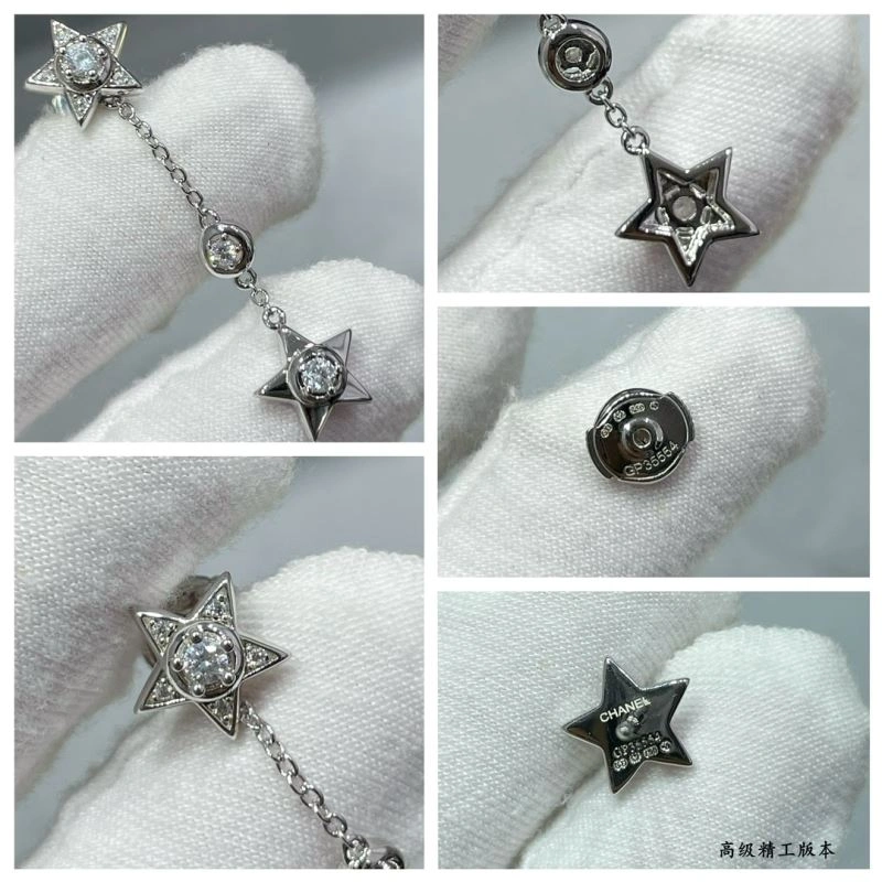 Popular Chanel Earrings 227624