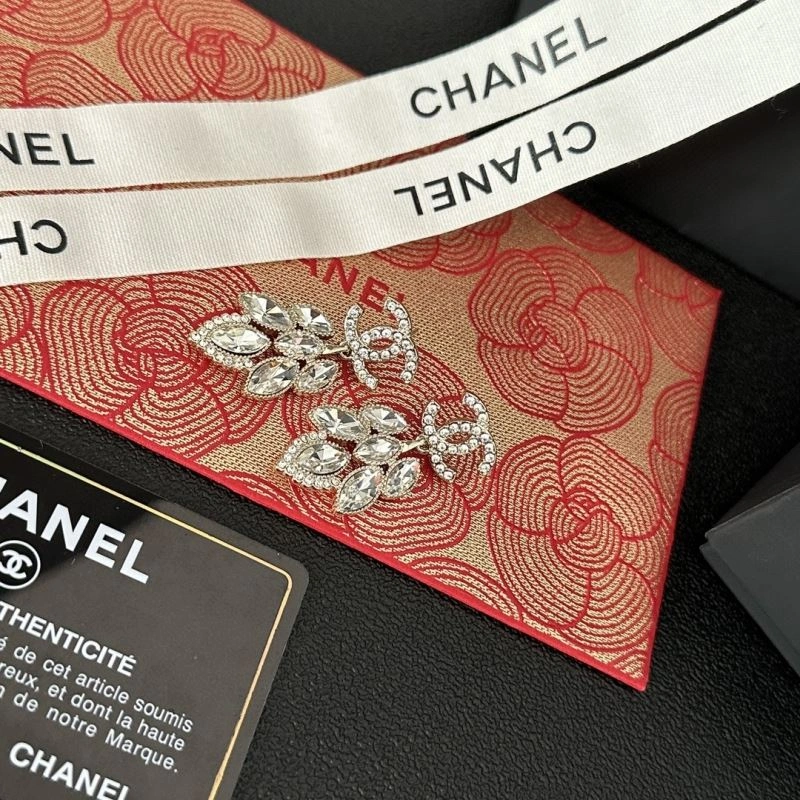 Chanel Earrings Affordable 227421