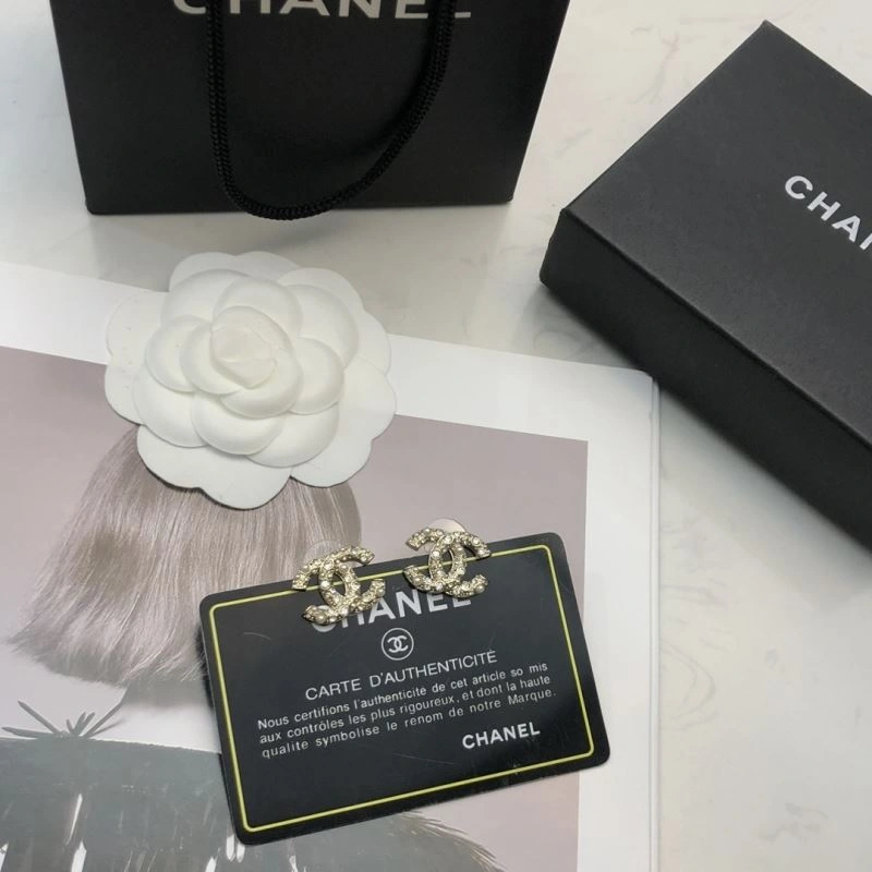 Elegant Chanel Earrings 227409