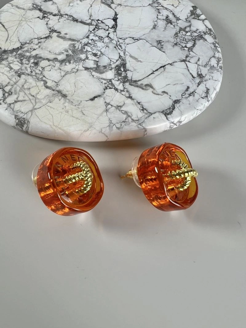 Durable Chanel Earrings 227425