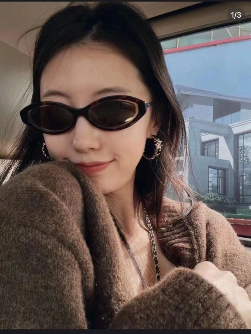 Casual Chanel Earrings 227321
