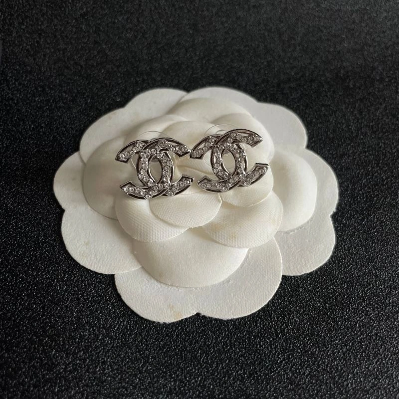 Durable Chanel Earrings 227173