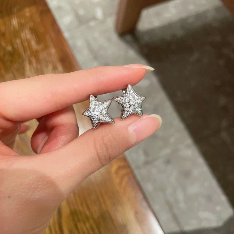 Versatile Chanel Earrings 225977