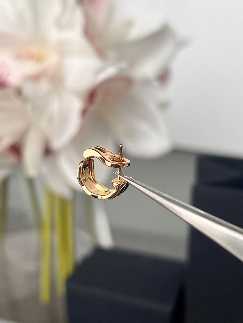 Sustainable Chanel Earrings 225255