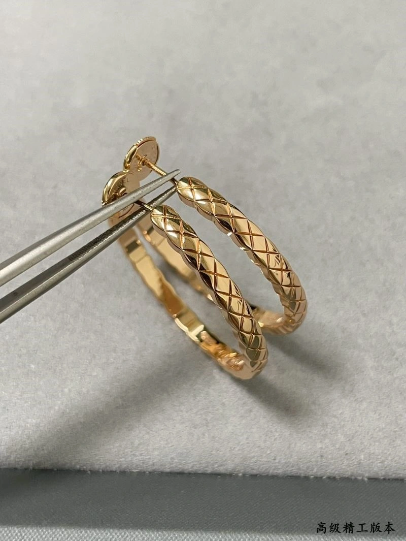 Popular Chanel Earrings 225063