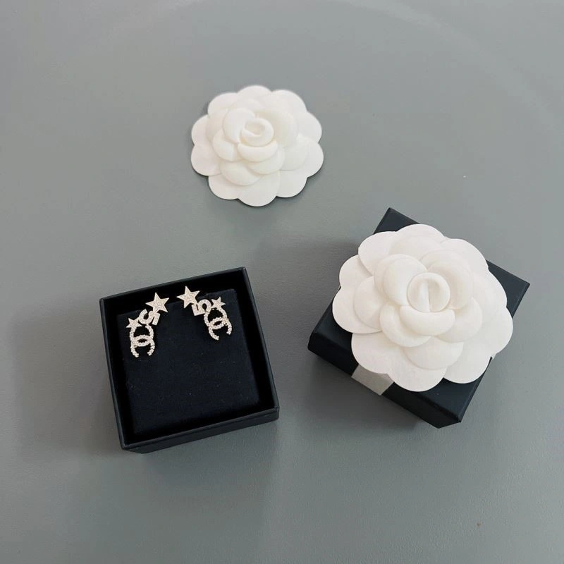 Chanel Earrings Affordable 224804