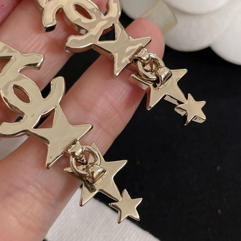 Chanel Earrings Bold 224207