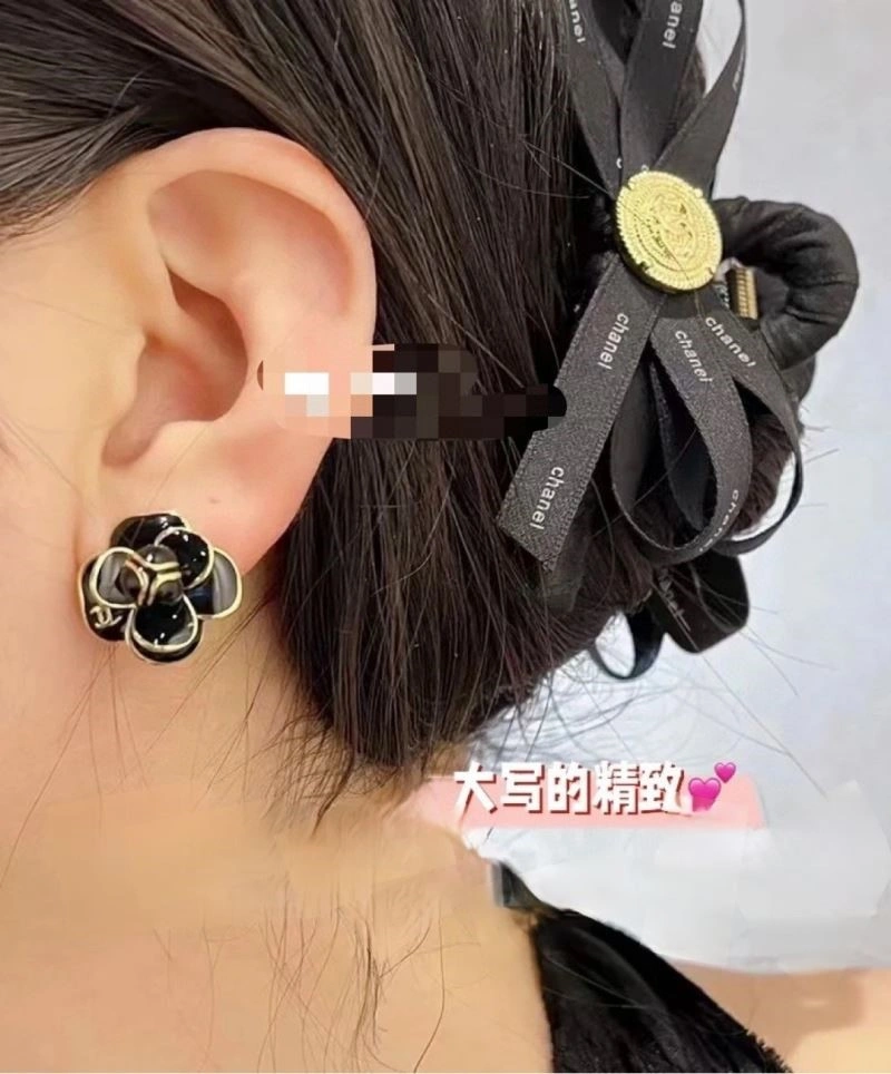Lightweight Chanel Earrings 224206