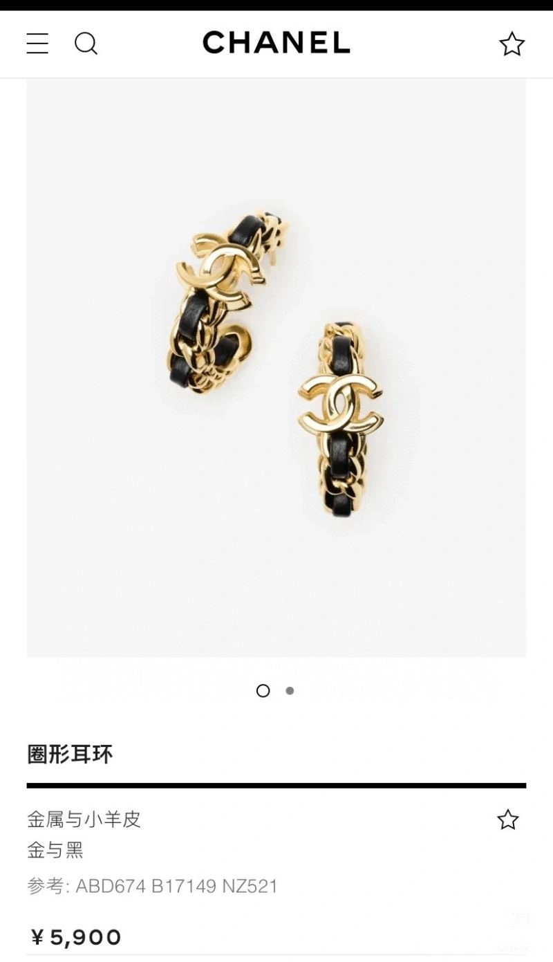 GoAnywhere Chanel Earrings 224215