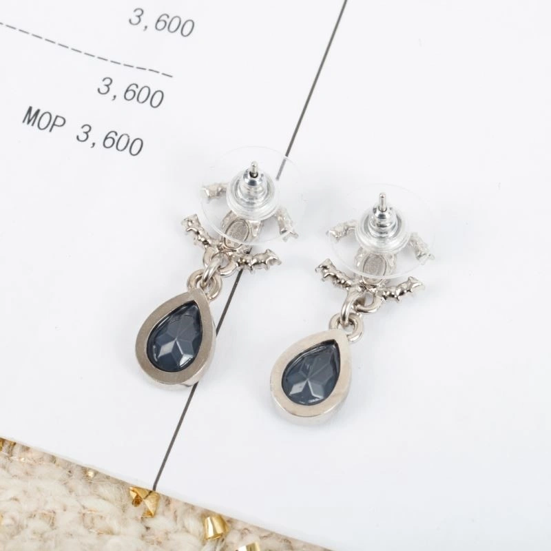 Supportive Chanel Earrings 223923