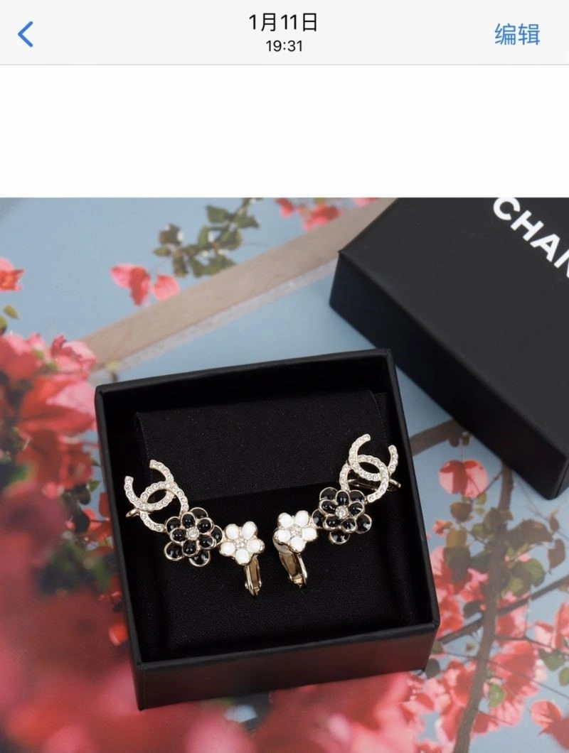 Lightweight Chanel Earrings 223737