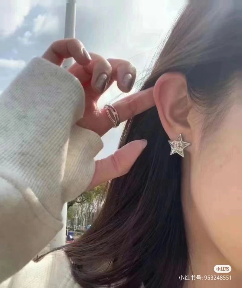 Sporty Chanel Earrings 223722