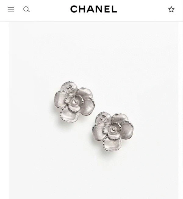 Elegant Chanel Earrings 223680