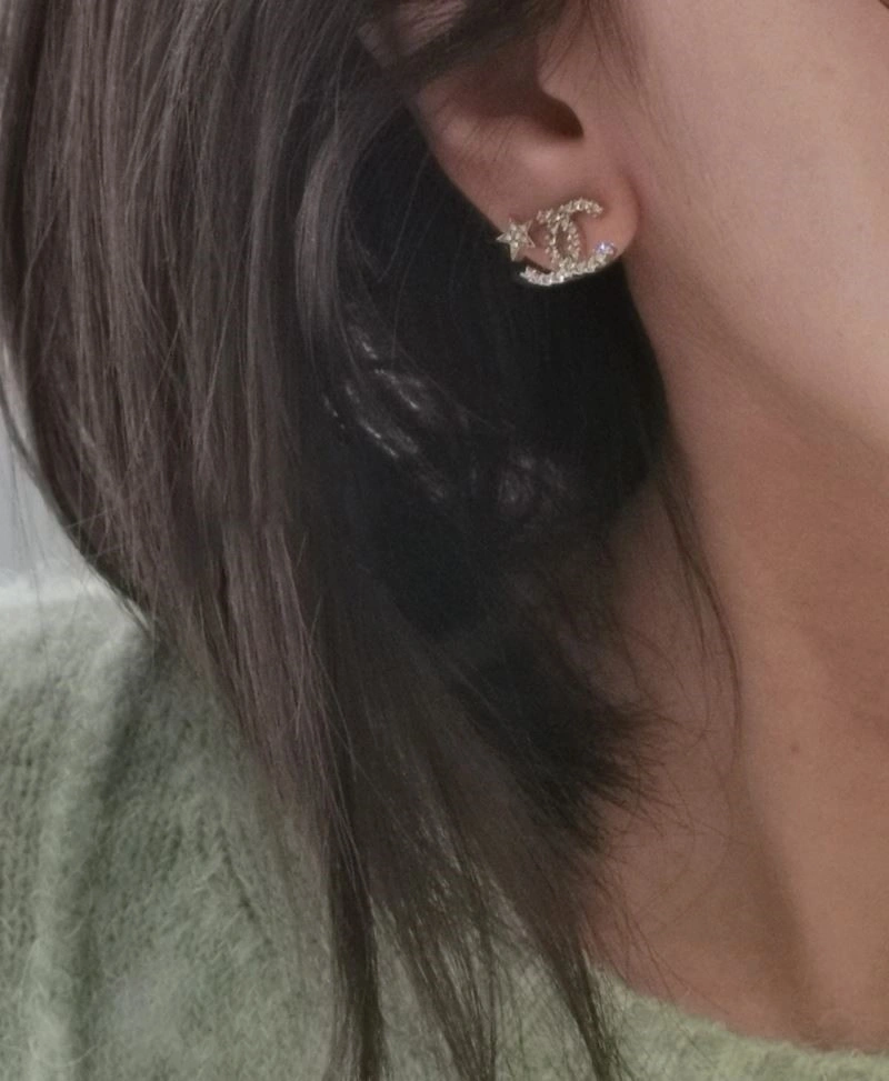 HighPerformance Chanel Earrings 223613