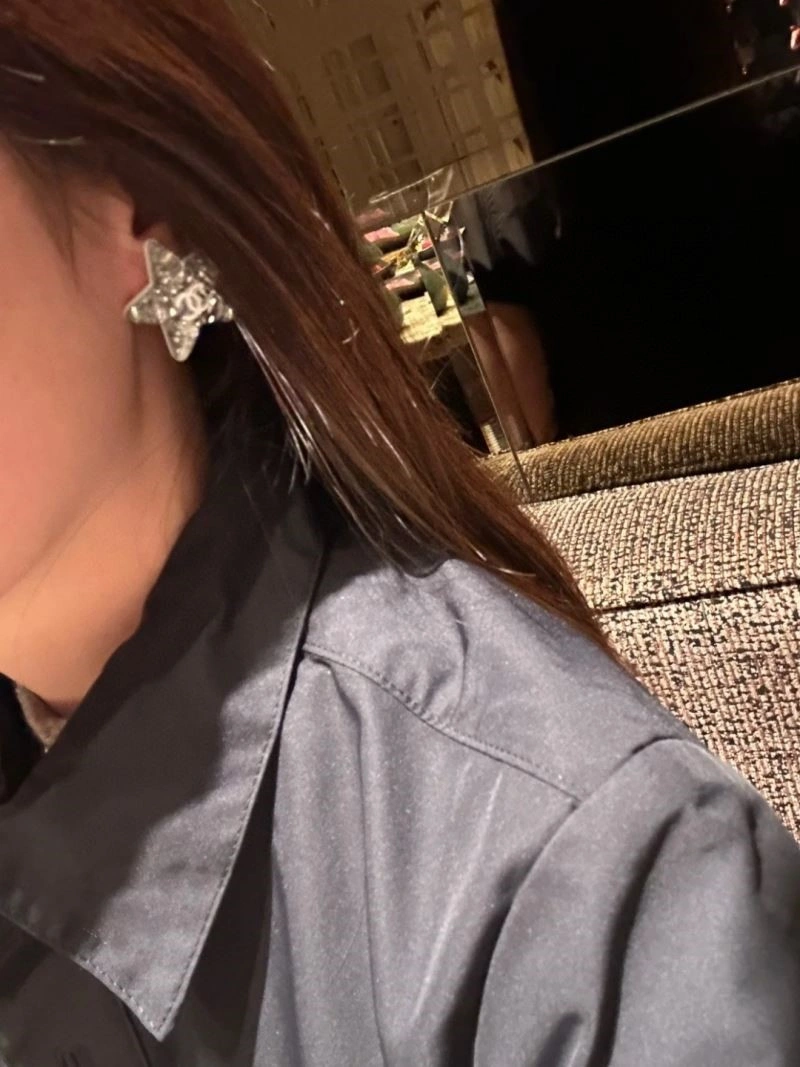 Chanel Earrings HighQuality 223076