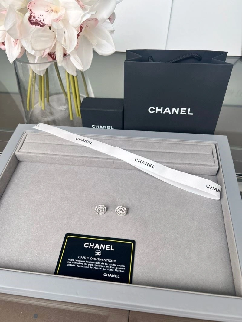 Casual Chanel Earrings 222919