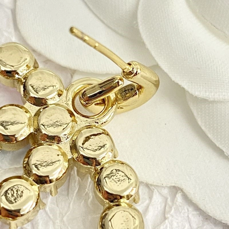 Durable Chanel Earrings 222534