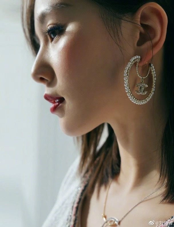 Chanel Earrings Affordable 222526