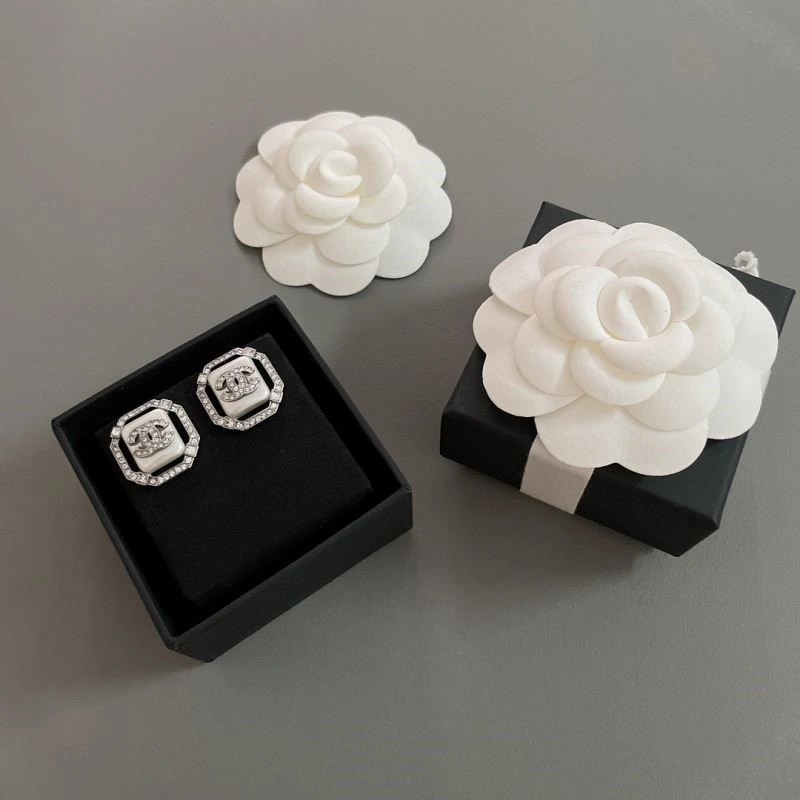 Popular Chanel Earrings 222377